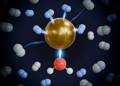 Illustration of the preferential binding of heavy hydrogen (blue) to light hydrogen (white) at the metal centre, activated by the binding of a water molecule (oxygen red, hydrogen white).