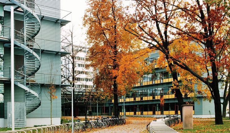 Universität Leipzig: Vor Dem Studium